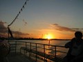 Thumbs/tn_Img_1301.jpg